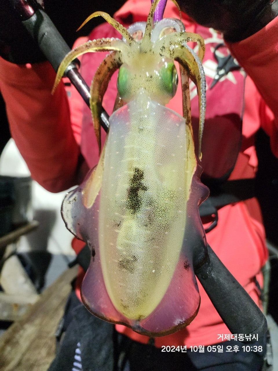 사용자가 올린 이미지