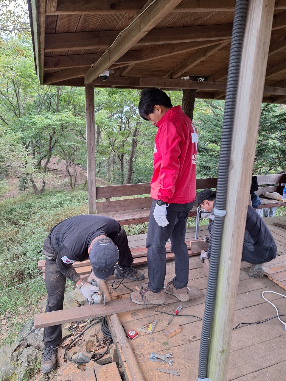 사용자가 올린 이미지