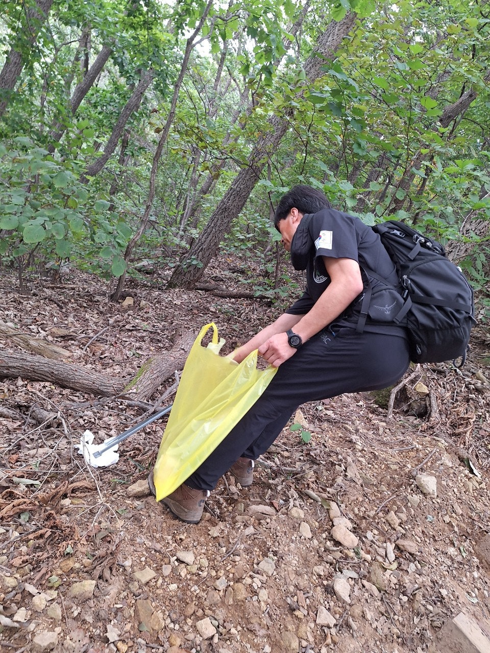 사용자가 올린 이미지