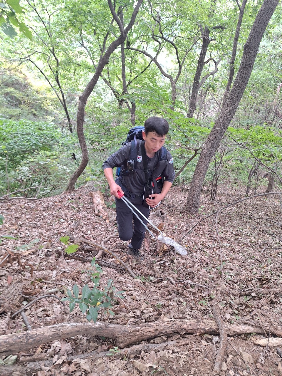 사용자가 올린 이미지