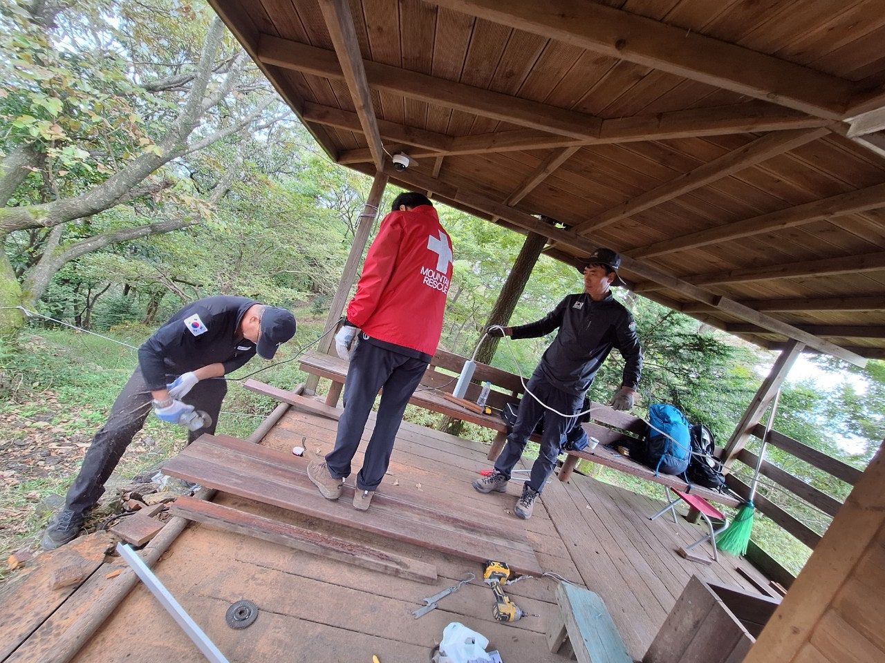 사용자가 올린 이미지