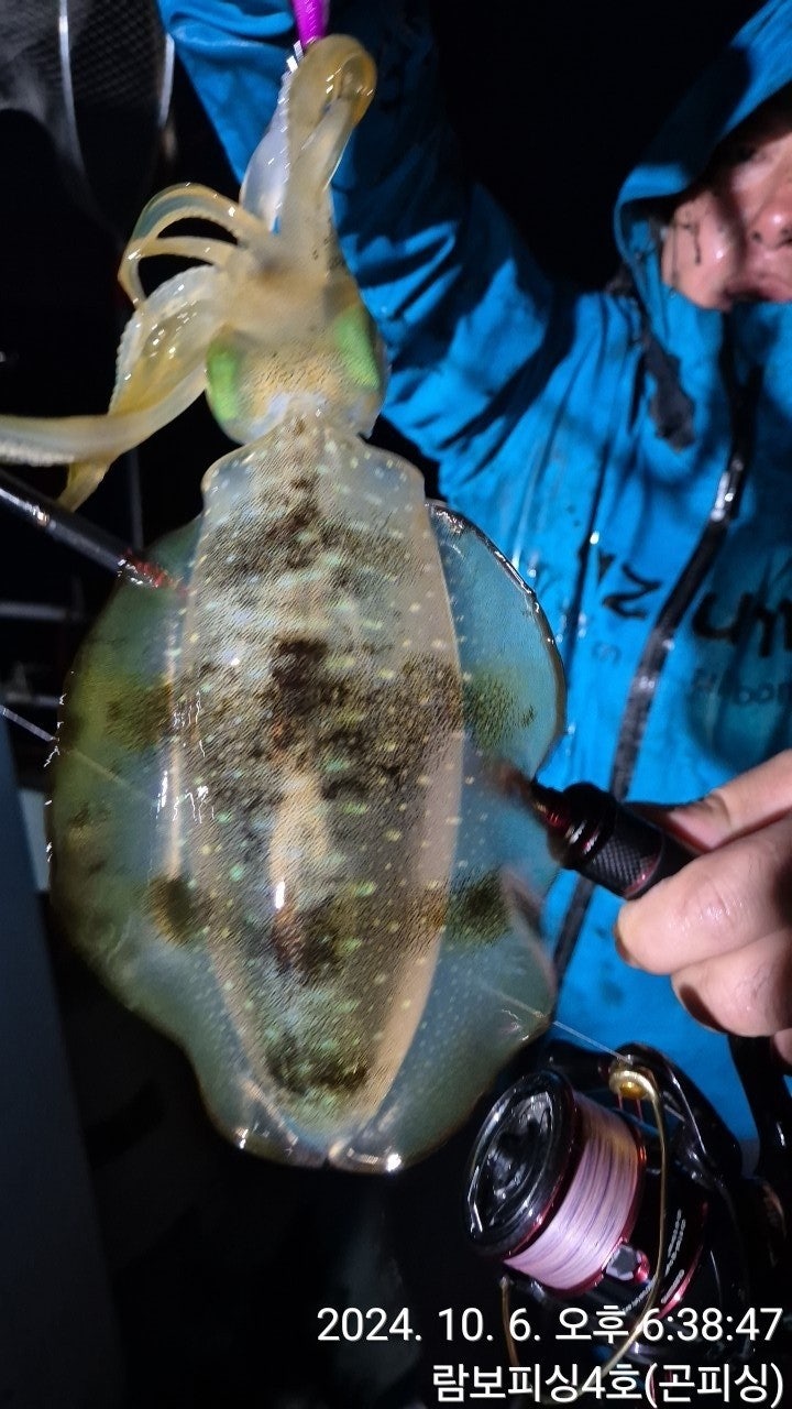 사용자가 올린 이미지