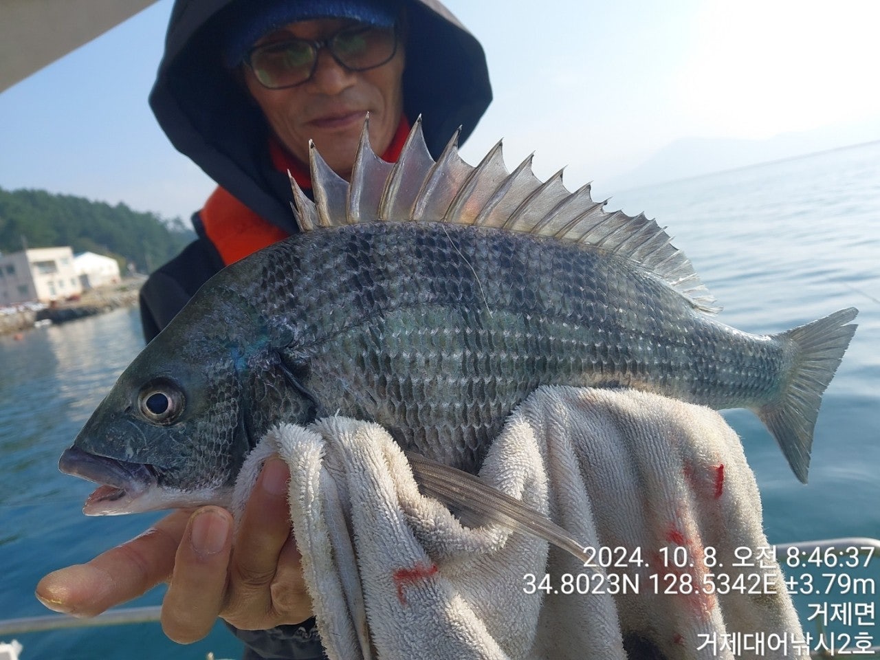 사용자가 올린 이미지