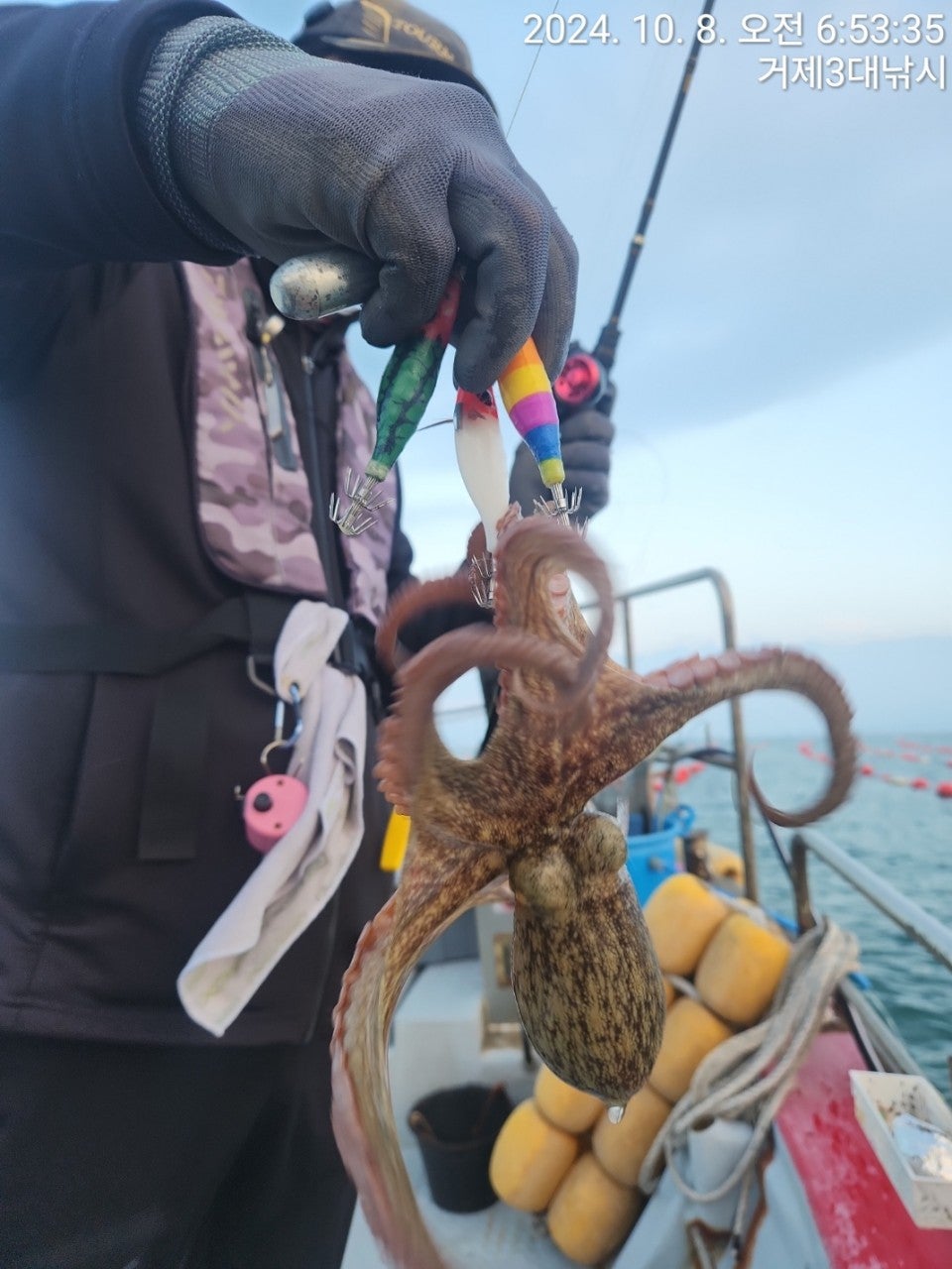 사용자가 올린 이미지