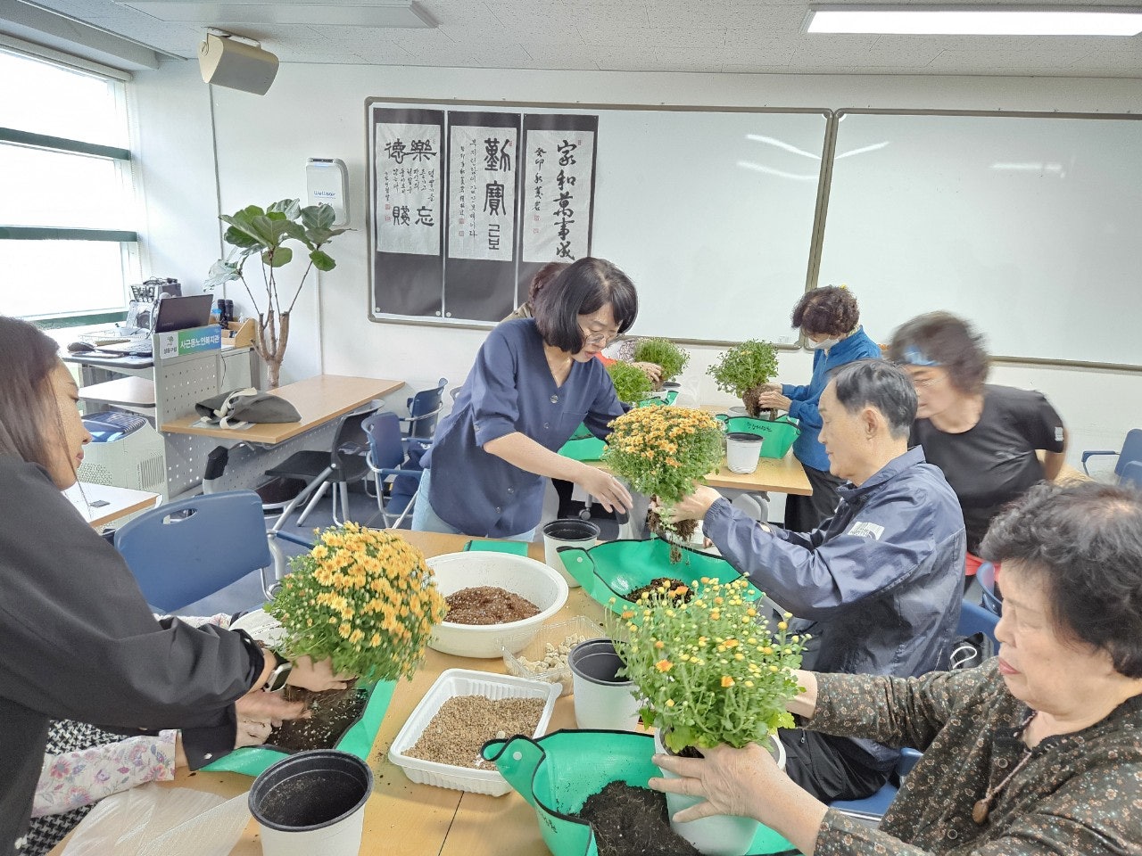 사용자가 올린 이미지