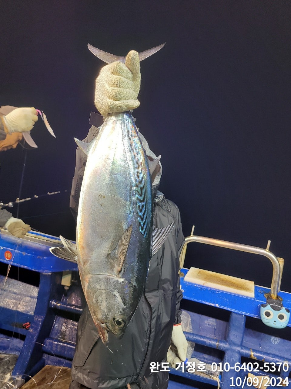 사용자가 올린 이미지