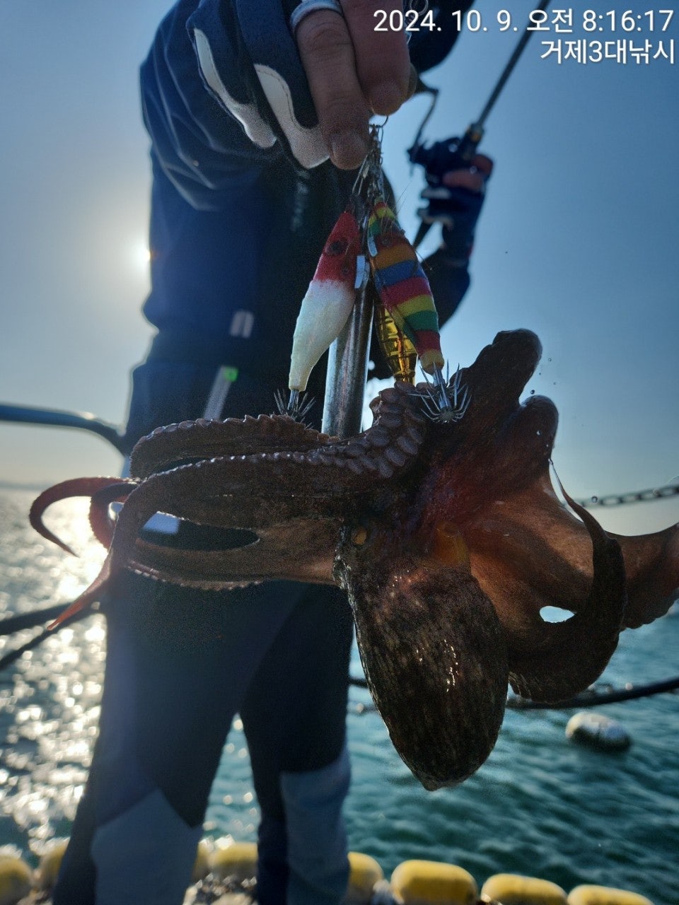 사용자가 올린 이미지