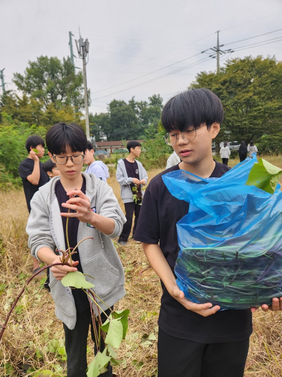 사용자가 올린 이미지