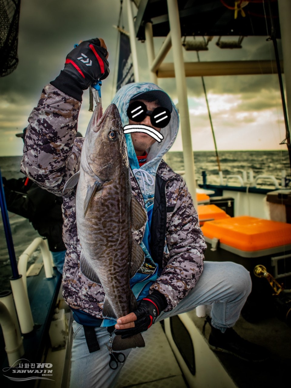 사용자가 올린 이미지