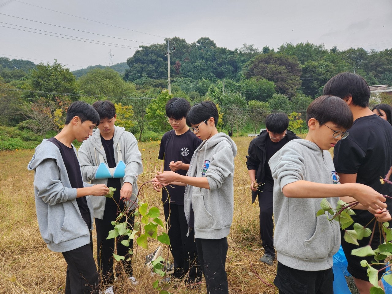 사용자가 올린 이미지