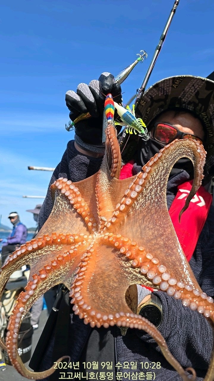 사용자가 올린 이미지