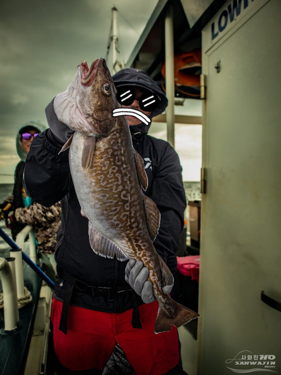 사용자가 올린 이미지