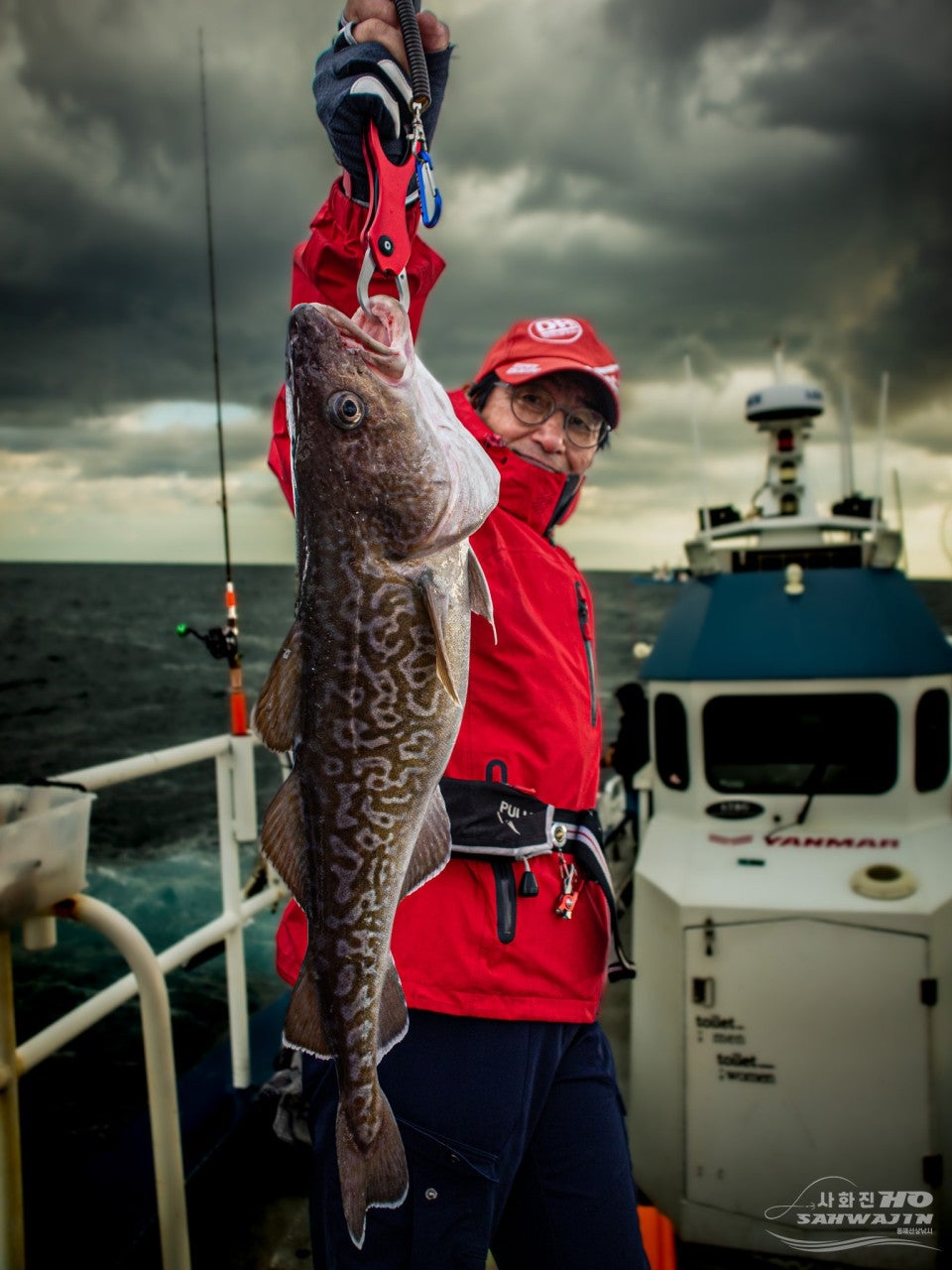 사용자가 올린 이미지