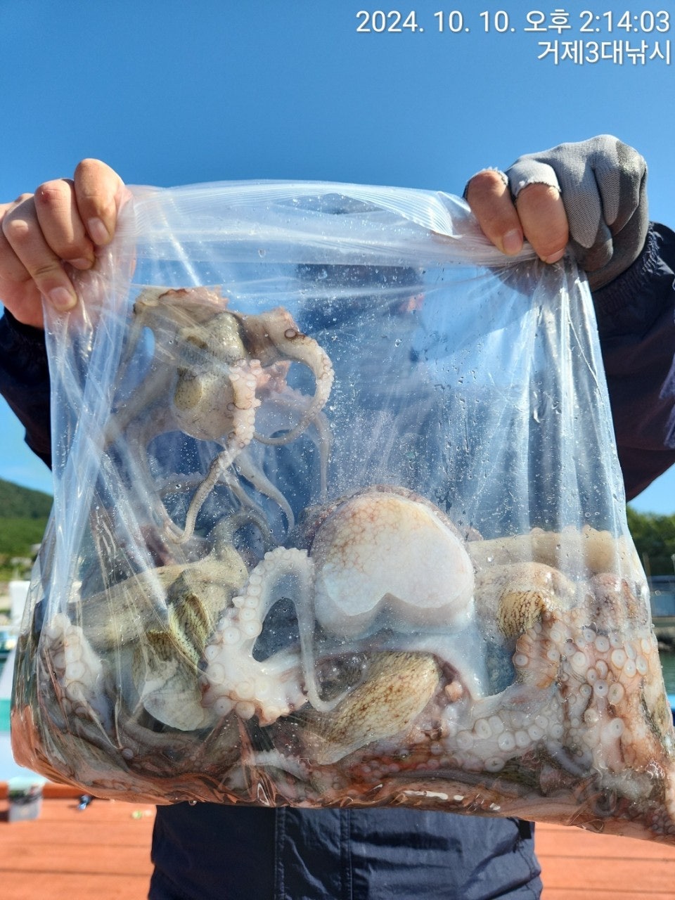 사용자가 올린 이미지