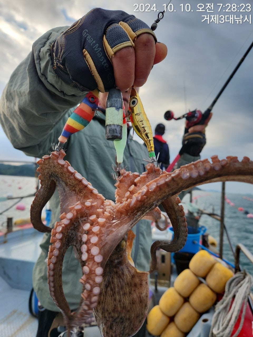 사용자가 올린 이미지