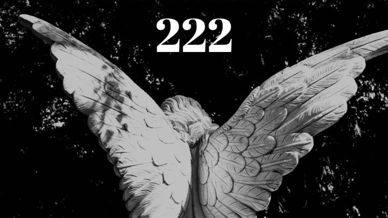 222 Angel Number Meanings in Money, Career & Business [Deep Dive]