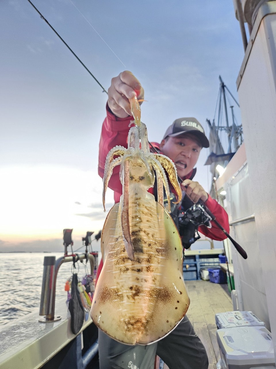 사용자가 올린 이미지