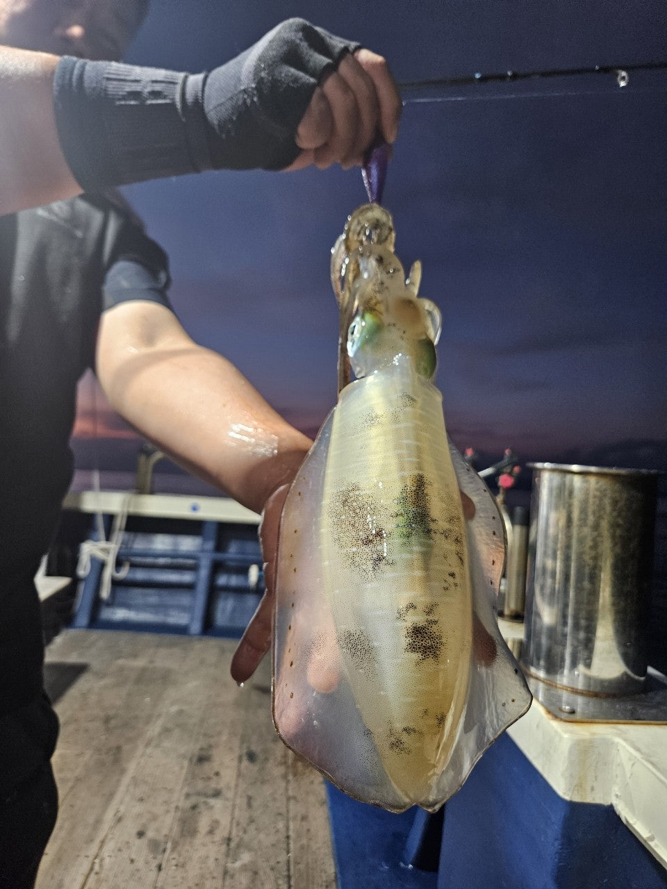 사용자가 올린 이미지