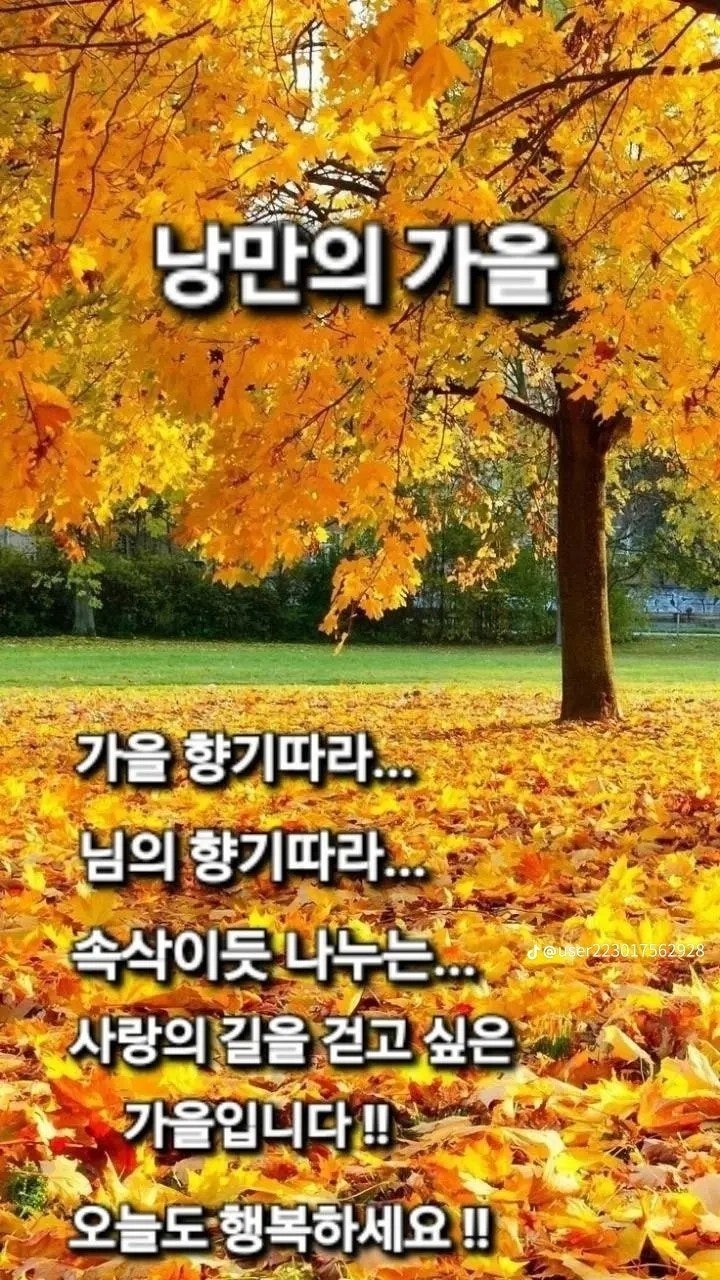 사용자가 올린 이미지