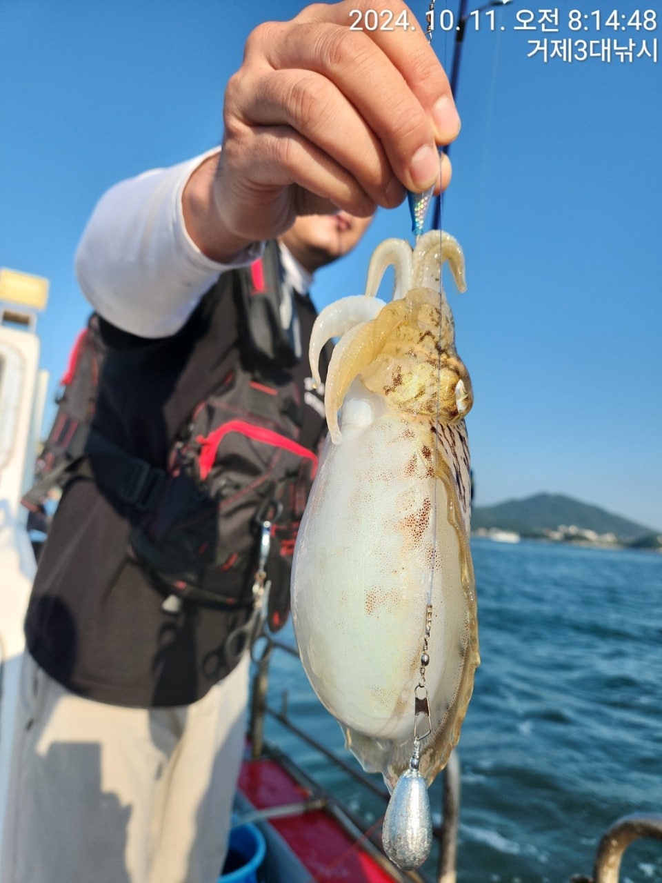 사용자가 올린 이미지