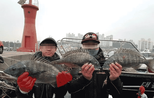 사용자가 올린 영상