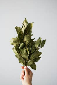 Bay Leaf Manifestation: How To Manifest With Bay Leaves