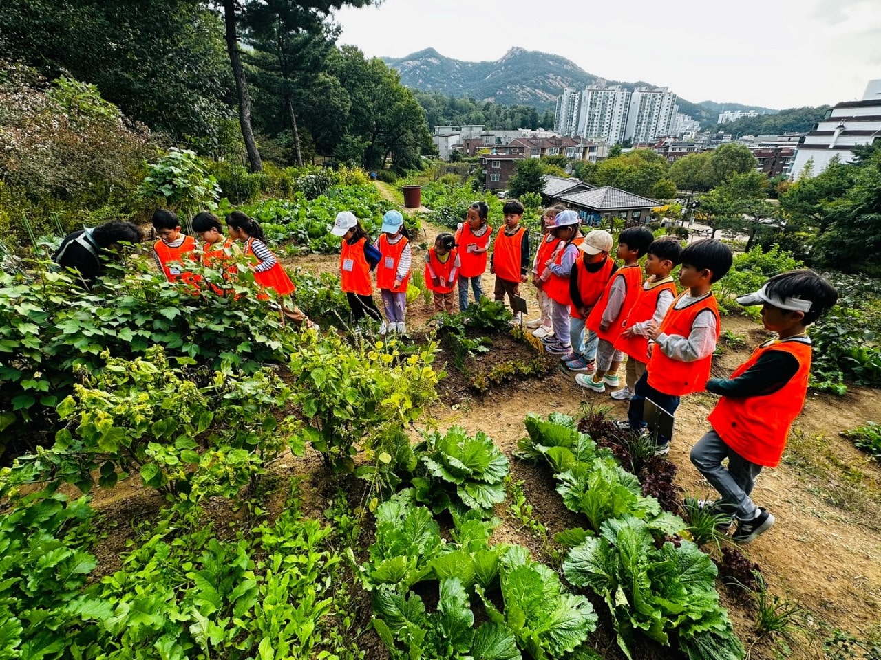 사용자가 올린 이미지