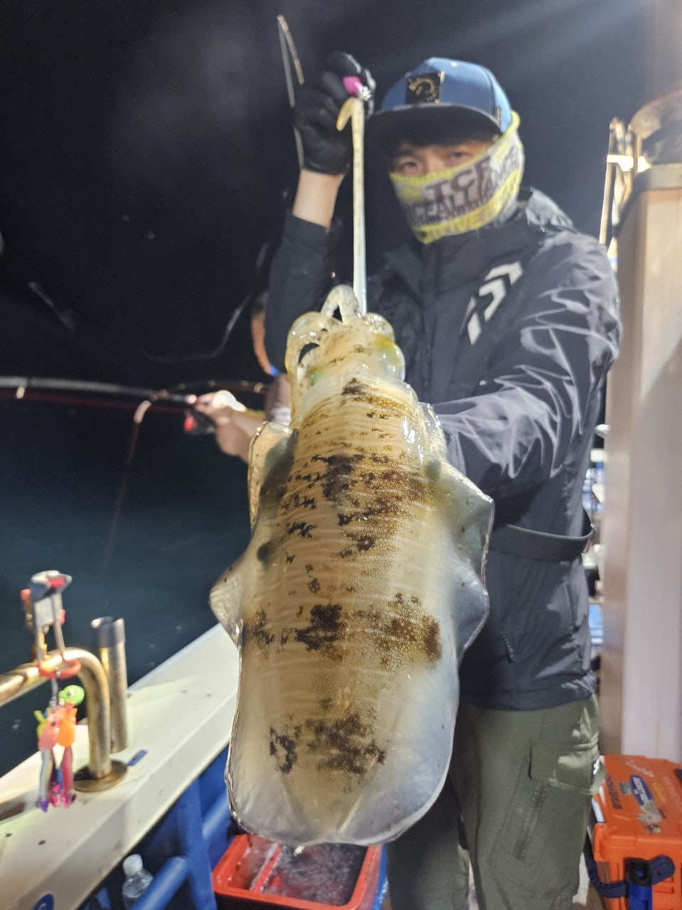 사용자가 올린 이미지