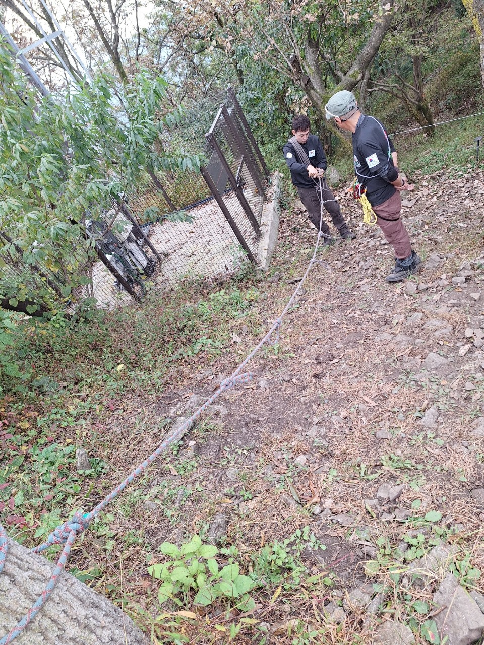 사용자가 올린 이미지