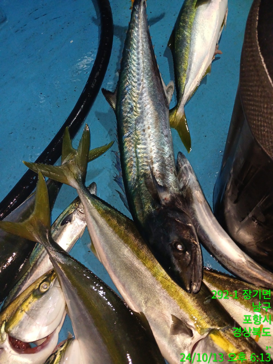 6_hf8Ud018svc5prop47c5wce_9bt2m0.jpg