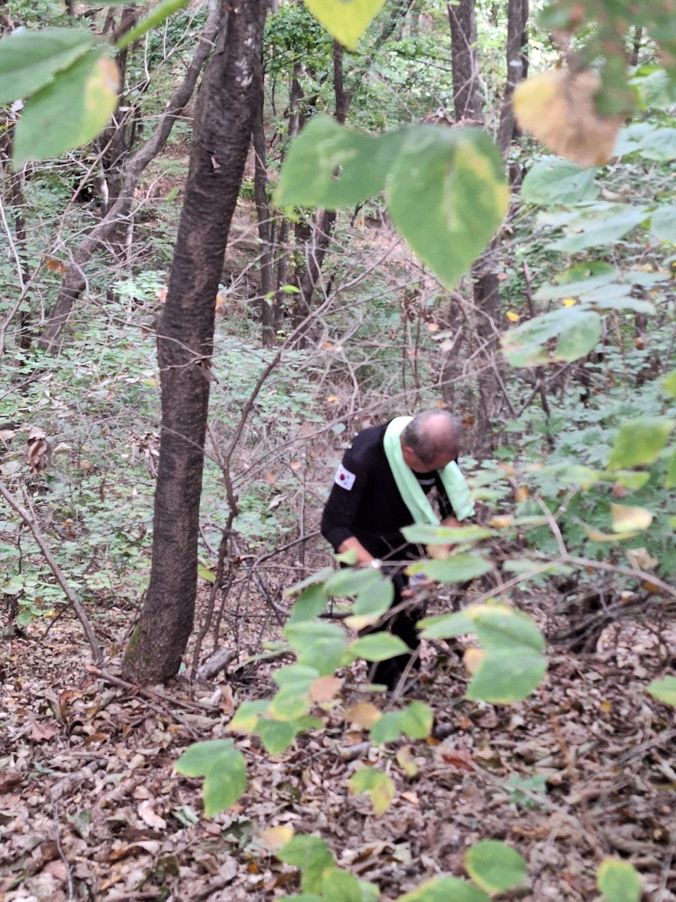 사용자가 올린 이미지