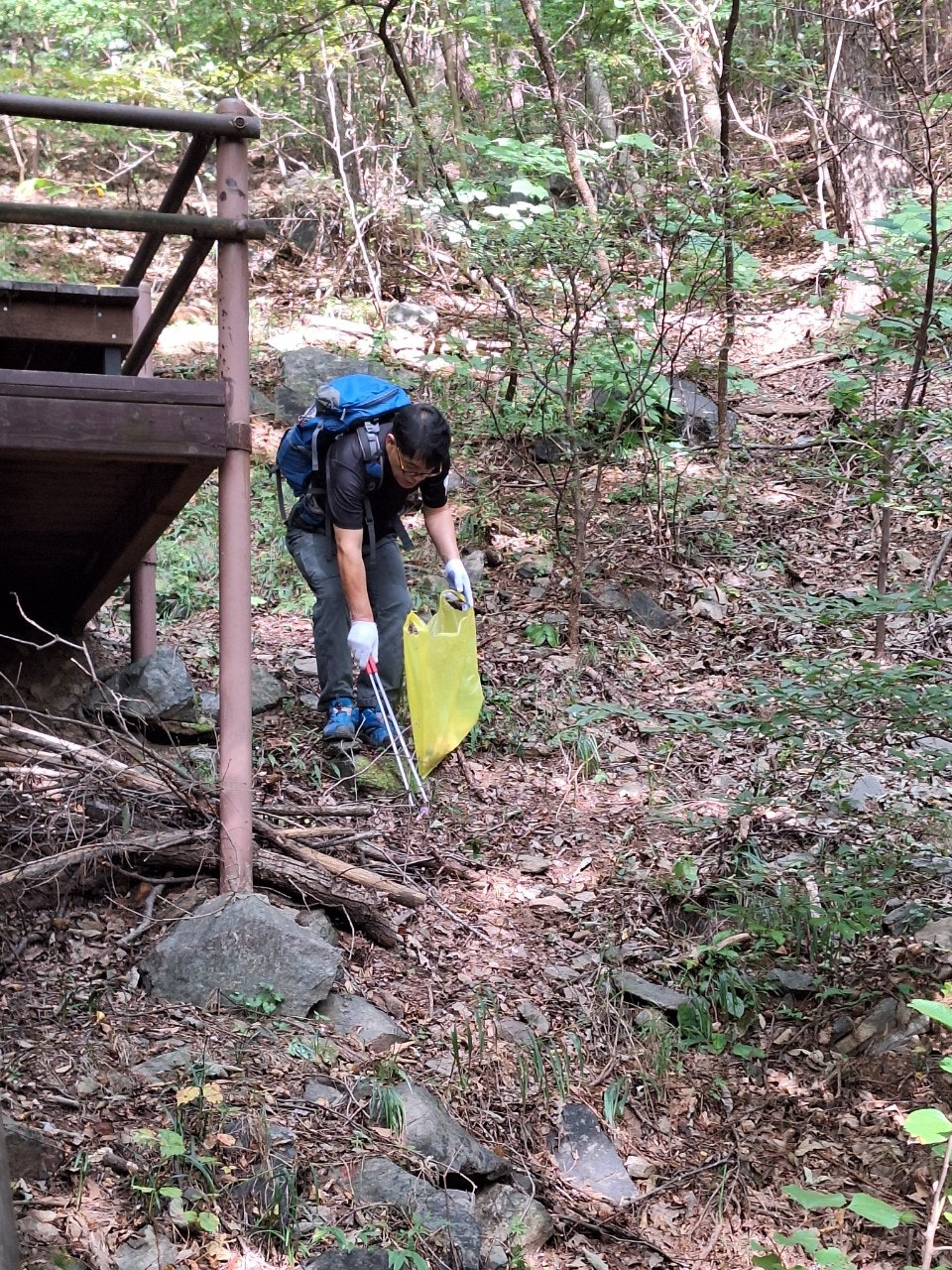 사용자가 올린 이미지