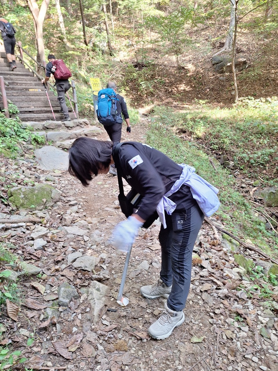 사용자가 올린 이미지