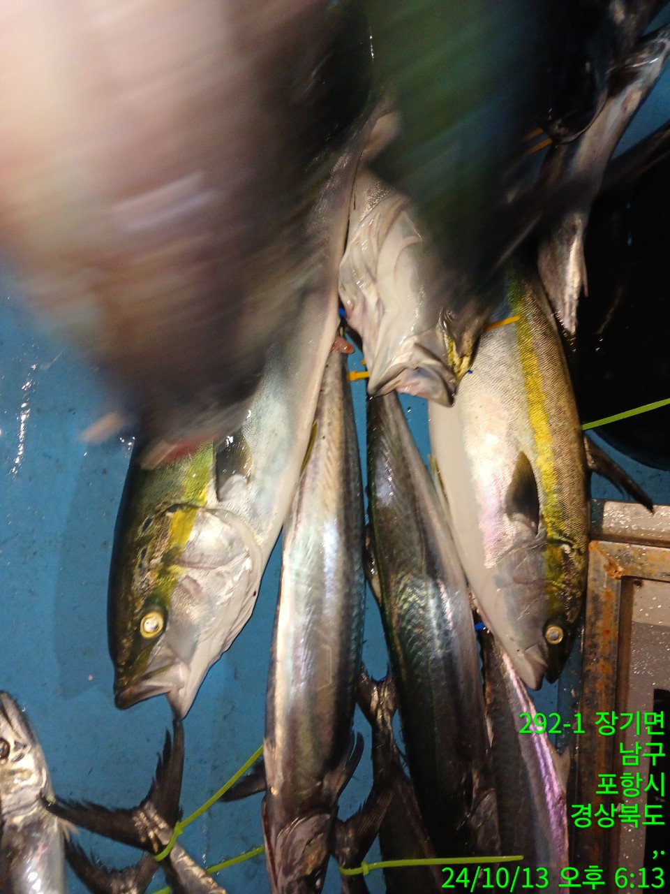 6_bf8Ud018svc1i0xj3onuhgil_9bt2m0.jpg