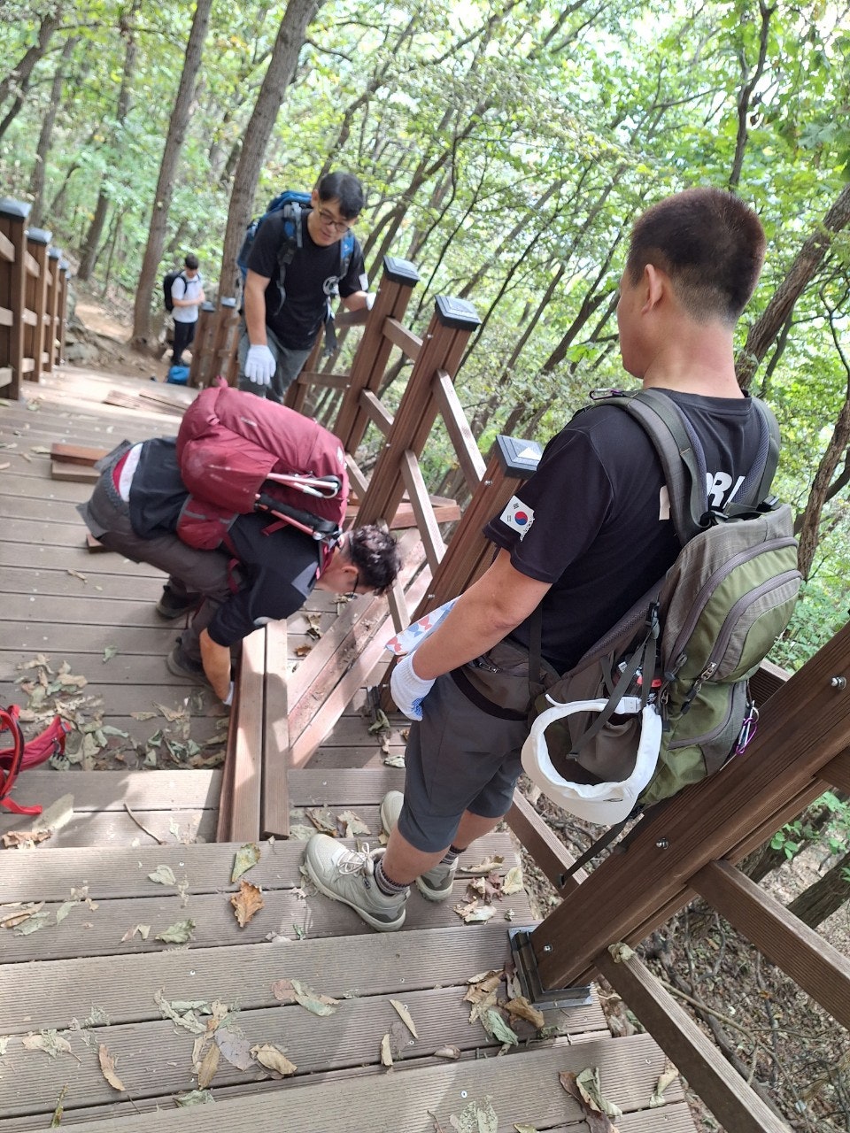 사용자가 올린 이미지