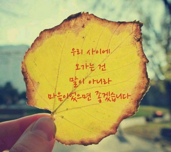 사용자가 올린 이미지