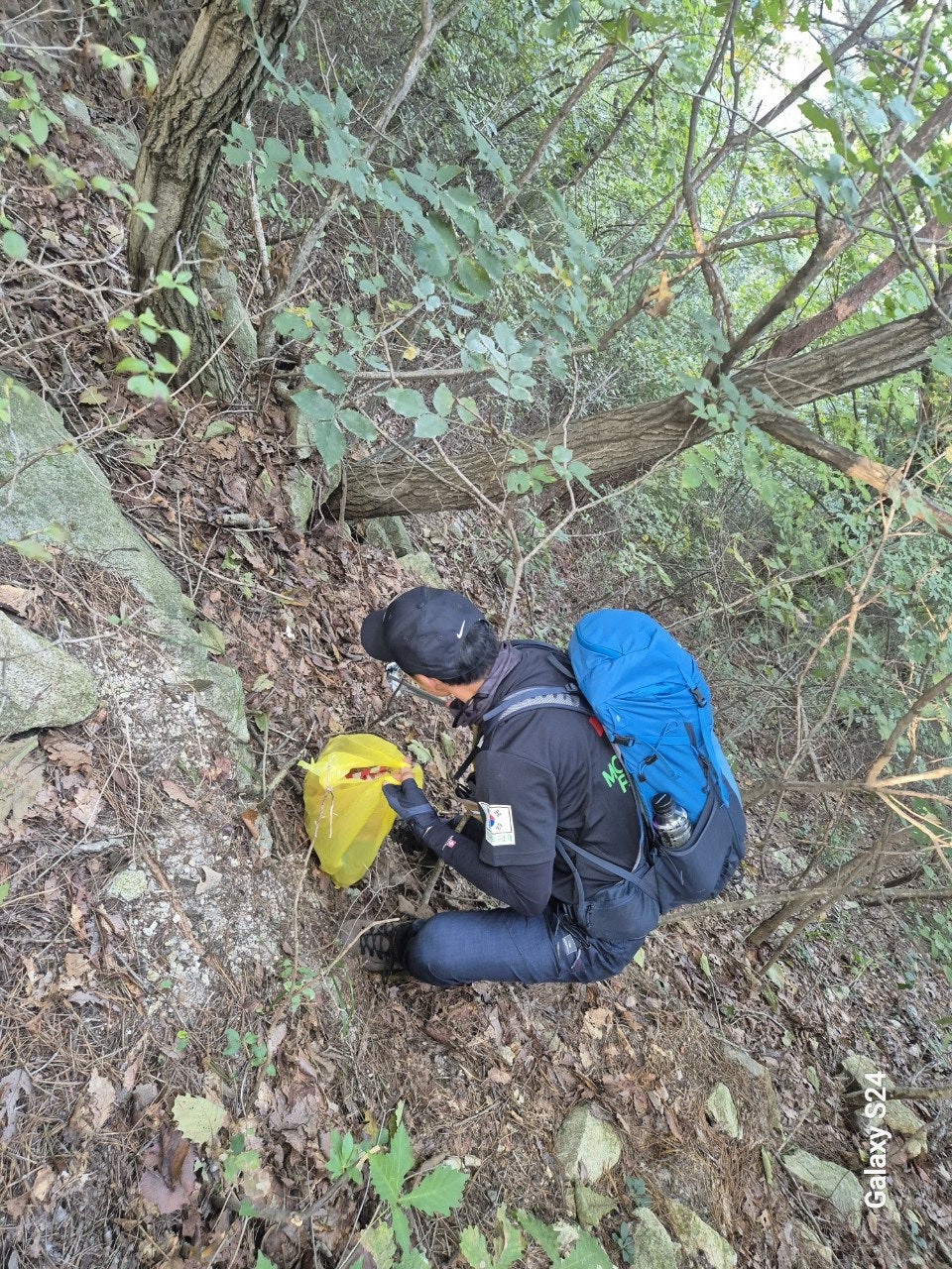 사용자가 올린 이미지