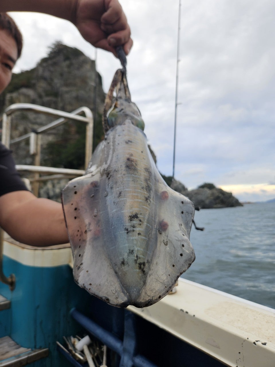 사용자가 올린 이미지