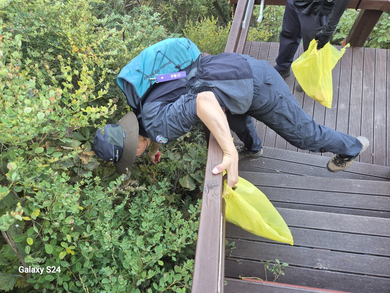 사용자가 올린 이미지
