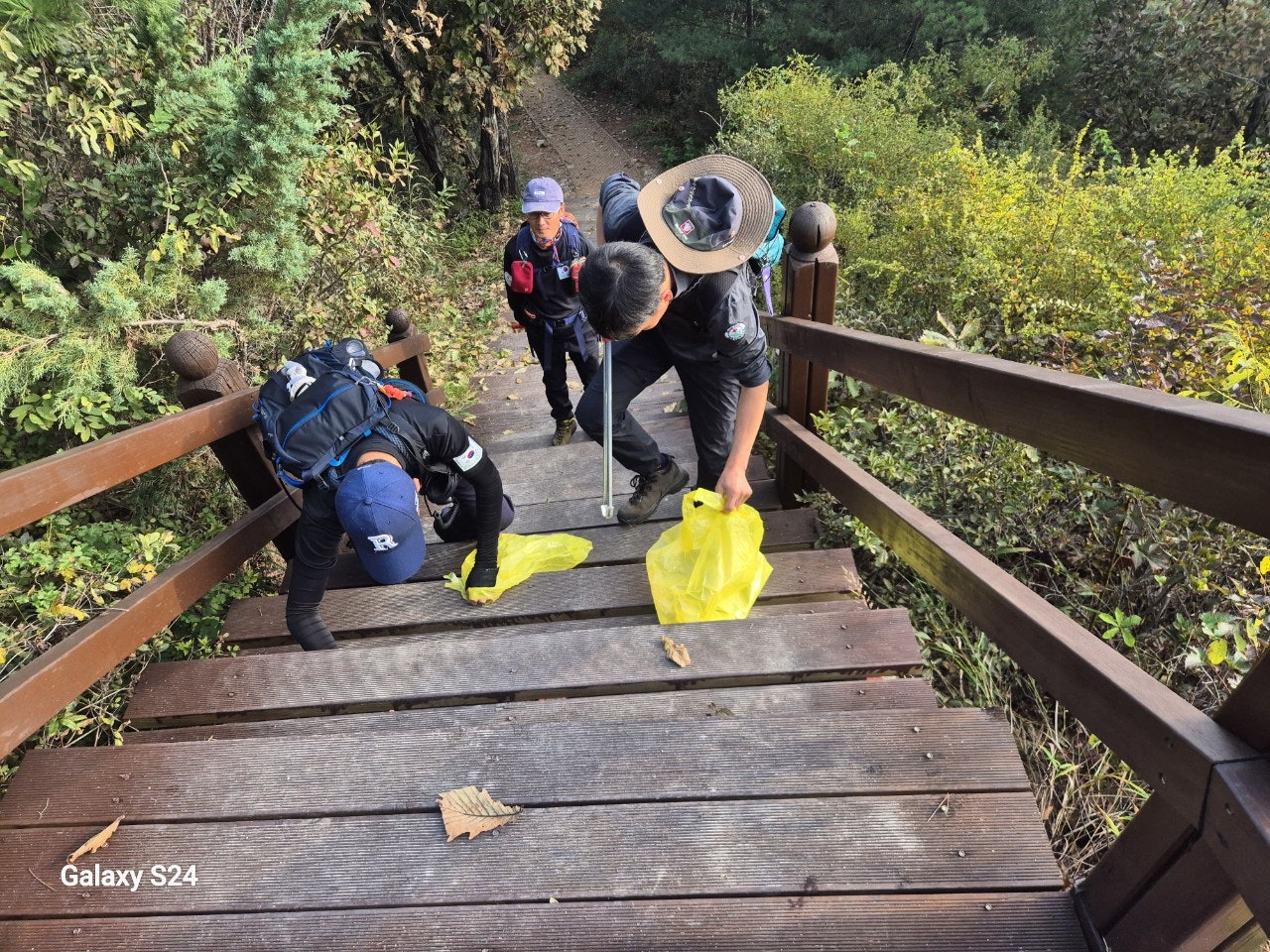 사용자가 올린 이미지