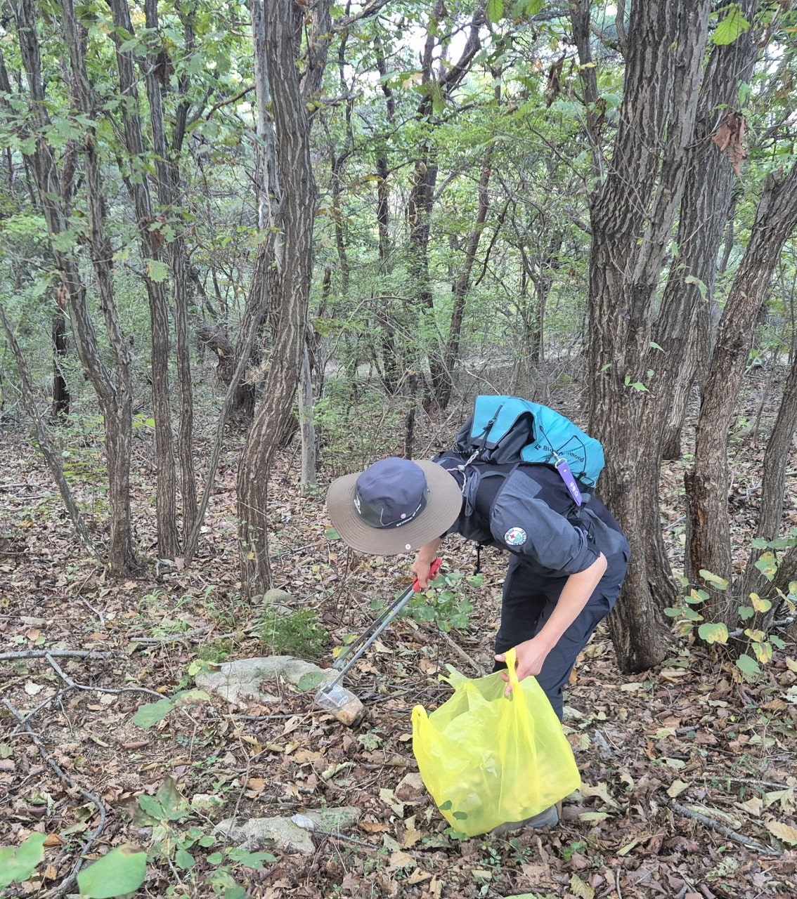 사용자가 올린 이미지