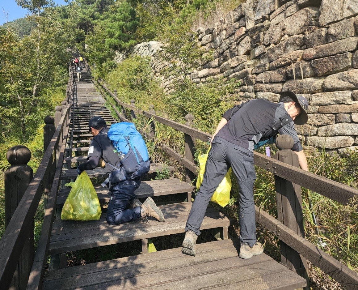 사용자가 올린 이미지