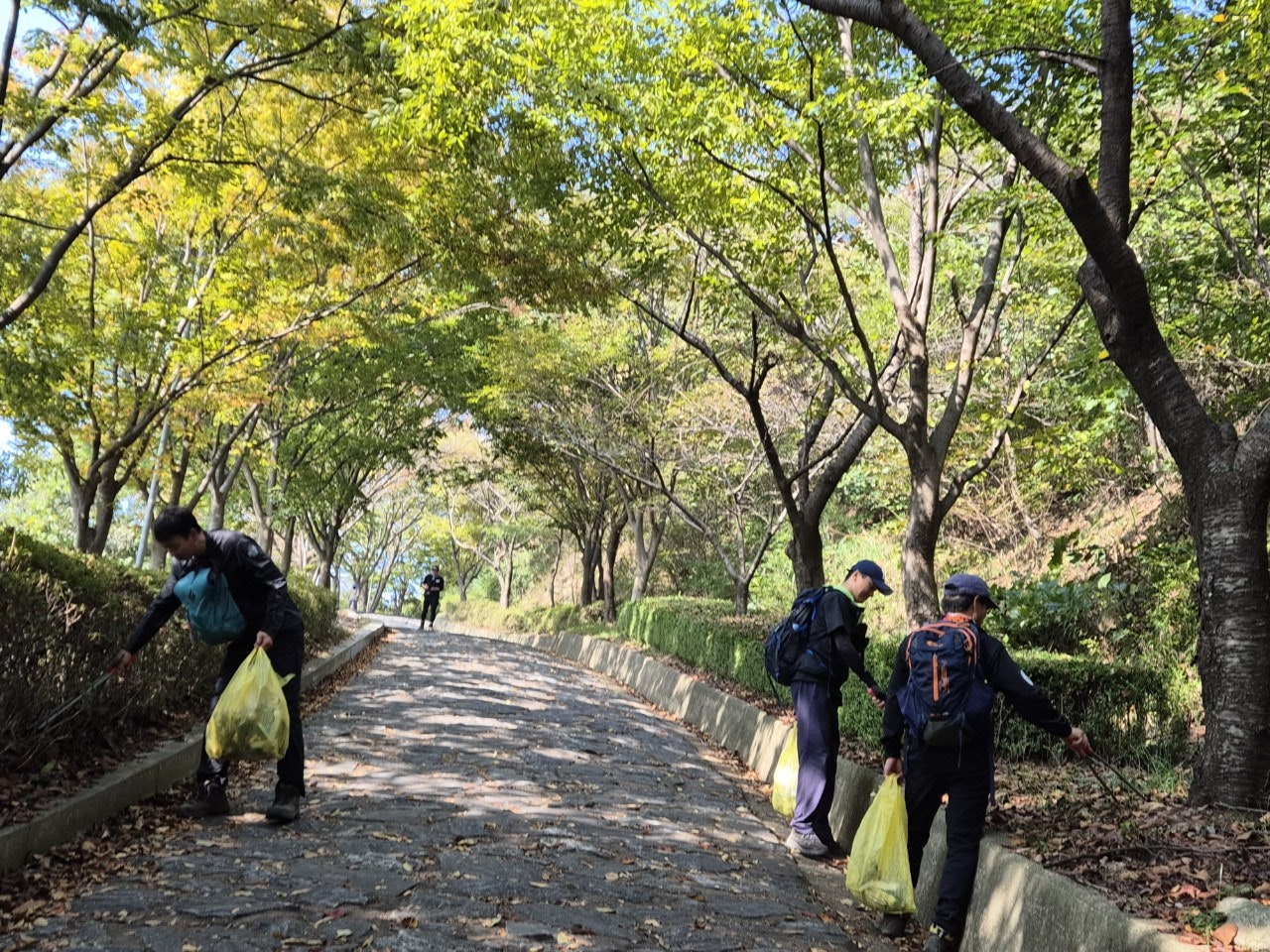 사용자가 올린 이미지