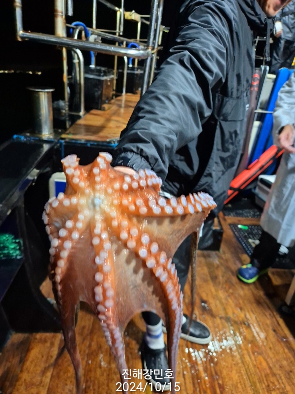 사용자가 올린 이미지