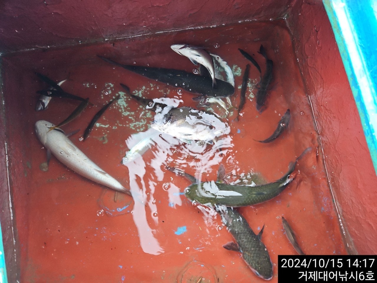 사용자가 올린 이미지