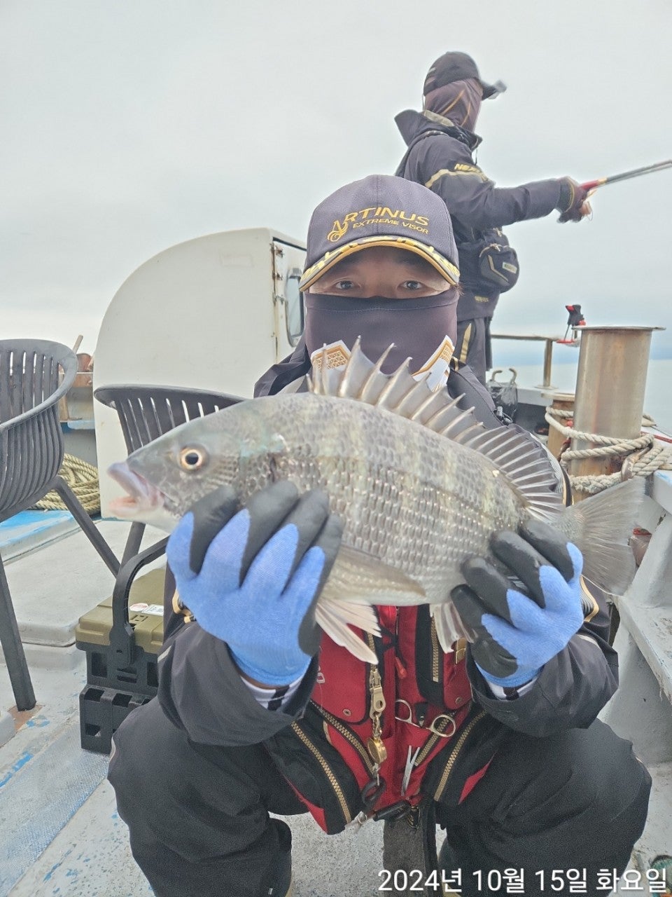 사용자가 올린 이미지