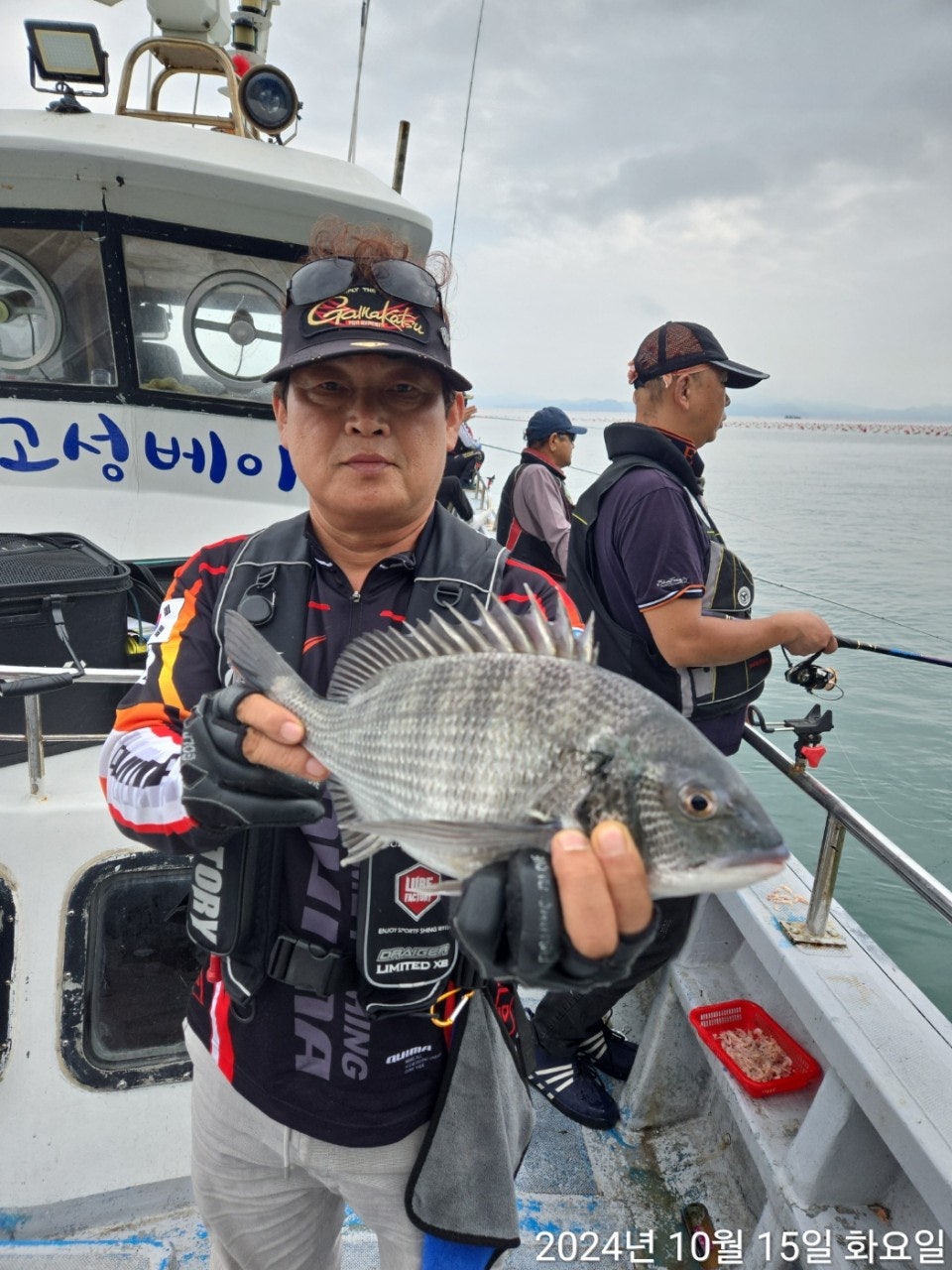 사용자가 올린 이미지