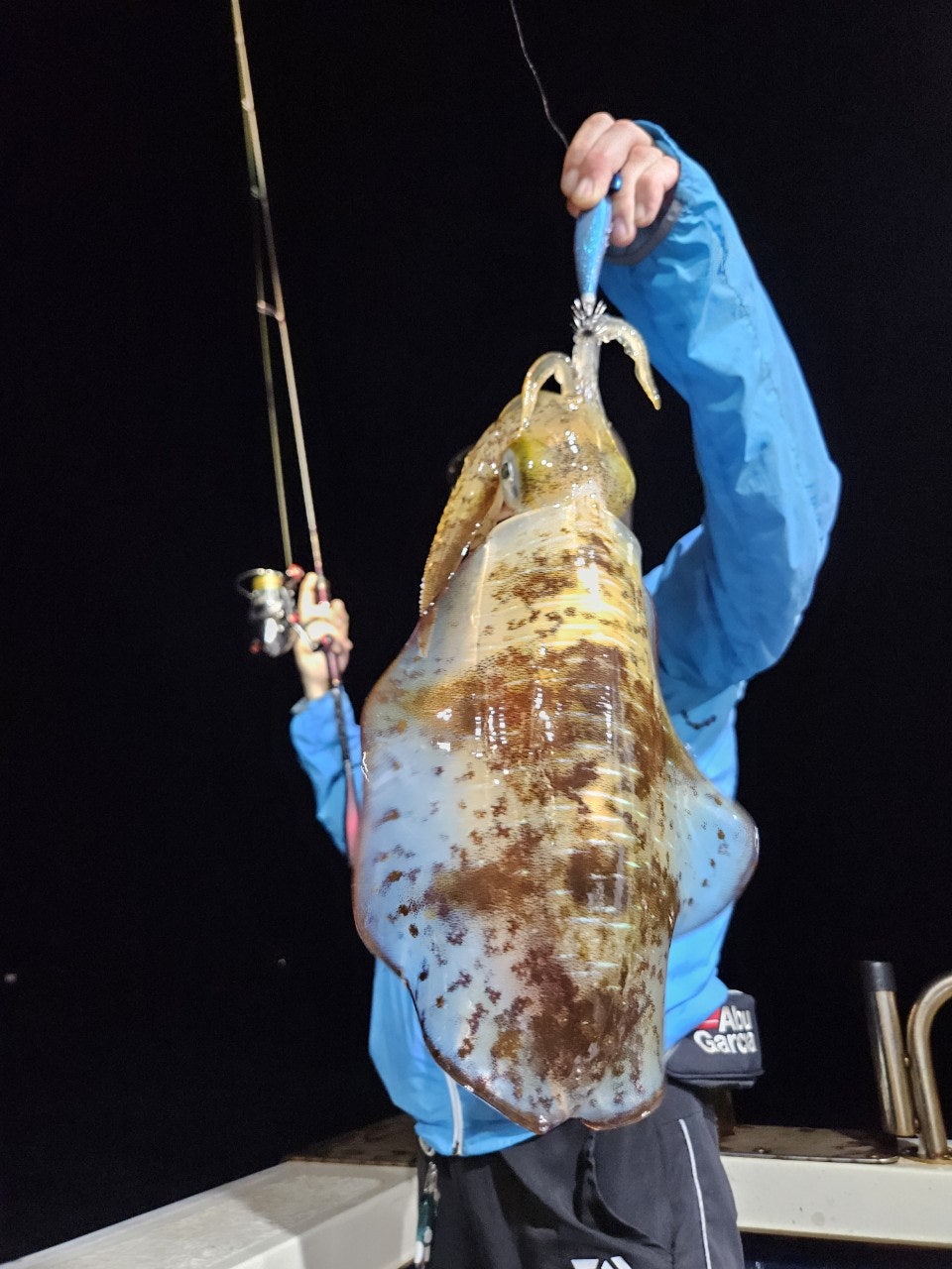 사용자가 올린 이미지