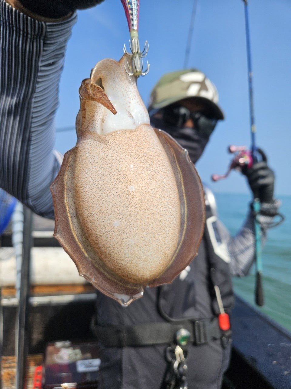 사용자가 올린 이미지