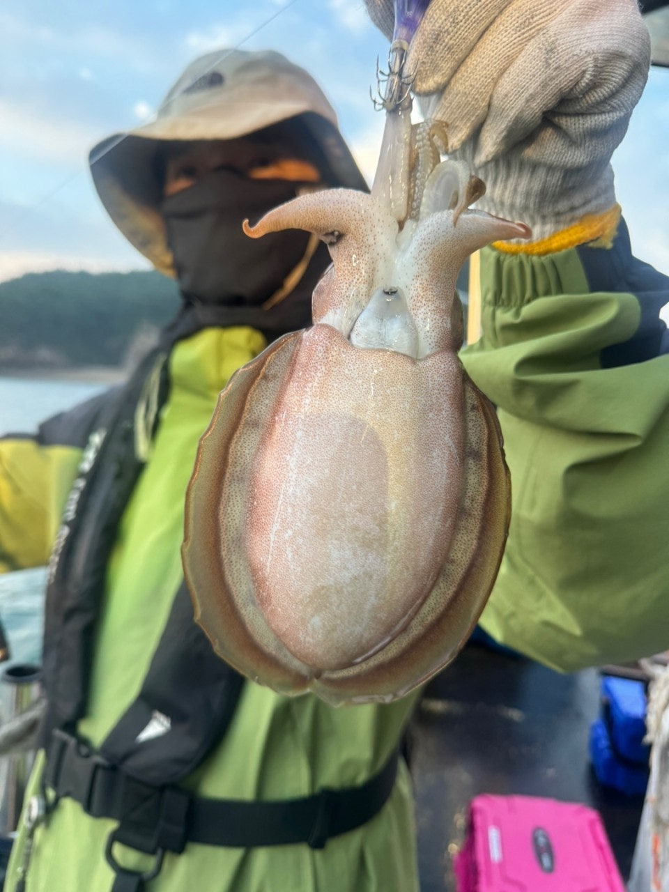 사용자가 올린 이미지